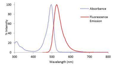 Novus Lightning-Link Rapid Alexa Fluor 4