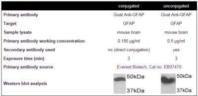 Novus Lightning-Link HRP Antibody Labeli