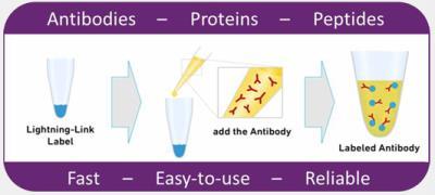 Novus Lightning-Link APC Antibody Labeli