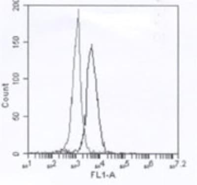 Novus IRAK4 Antibody (6F8), 0.1 mg