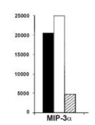 Novus CCL20/MIP-3 alpha Antibody (206D9.