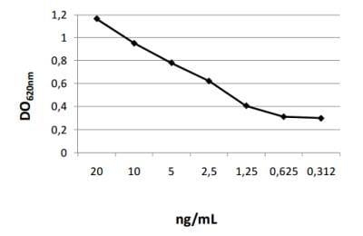 Novus IL-17/IL-17A ELISA Kit, 1 Kit