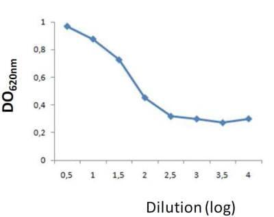 Novus TSLP ELISA Kit, 1 Kit