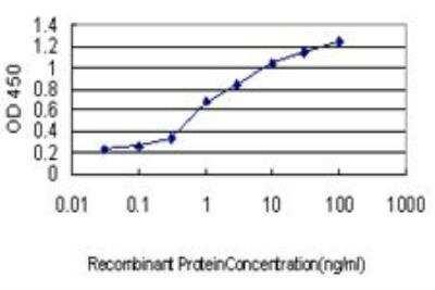 Novus CRX/CORD2 Antibody (4G11), 0.1 mg