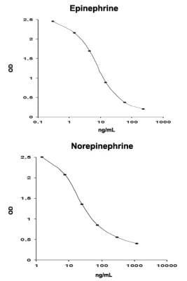 Novus Epinephrine/Norepinephrine ELISA K