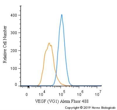 Novus VEGF Antibody (VG1) [Alexa Fluor (