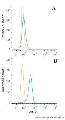 Novus ABCG1 Antibody, 0.1 ml