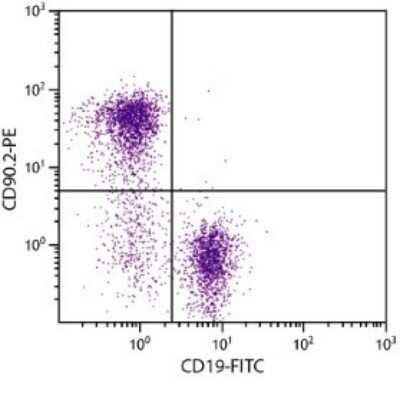 Novus CD90.2 Antibody (30-H12), 0.5 mg