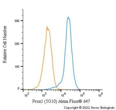 Novus Prox1 Antibody (5G10) [Alexa Fluor