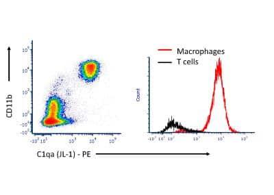Novus Complement Component C1qA Antibody