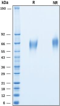 R&D Systems Recombinant Cynomolgus CD200 R1 His-tag Protein