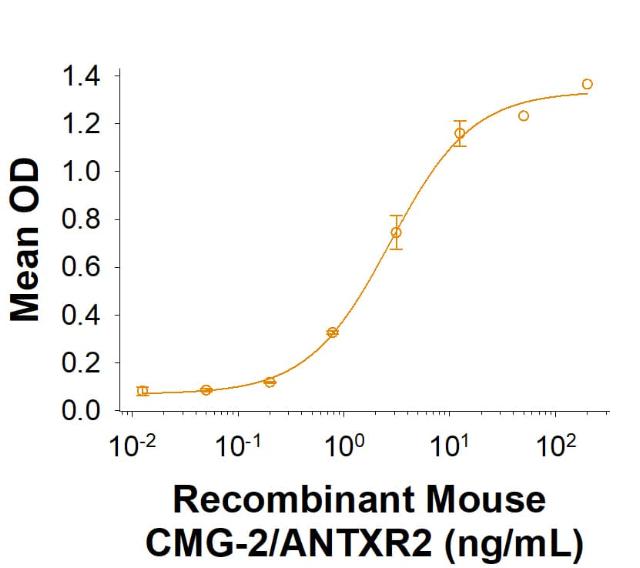 R&D Systems rmCMG-2/ANTXR2 Fc C (50 UG)