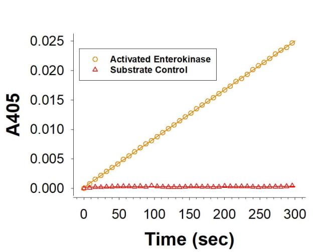 R&D Systems rhEnteropeptidase Hi (20 UG)