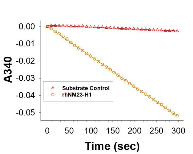 R&D Systems Recombinant Human NM23-H1 His-tag Protein CF (50