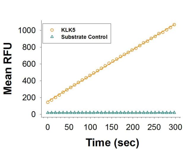 R&D Systems Recombinant Human Kallikrein