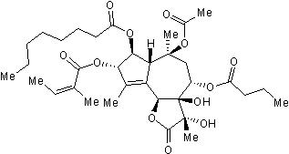Tocris Thapsigargin, 1 mg
