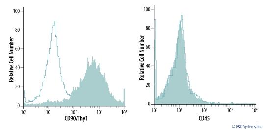 R&D Systems StemXVivo Serum-Free MSC Fre
