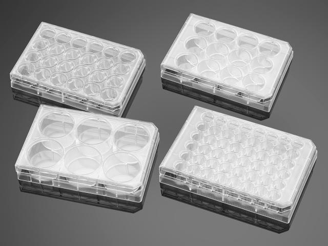 Corning Cellcube Pc Module,S,10-Stack,