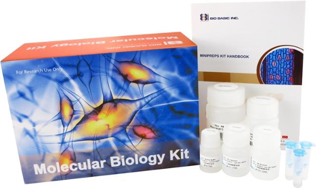 Bio Basic EZ-10 Spin Column DNA Gel Extraction Kit 50 preps