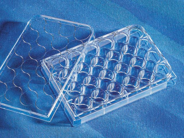 Corning Costar 24 Well Clear Cell Cult