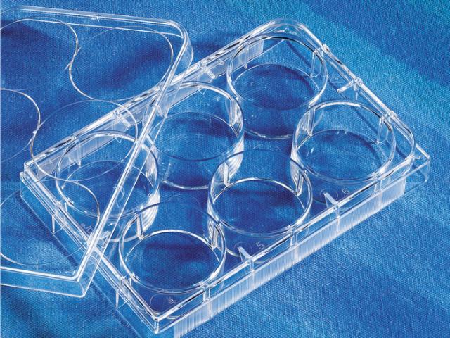 Corning Costar 48 Well Clear Cell Cult