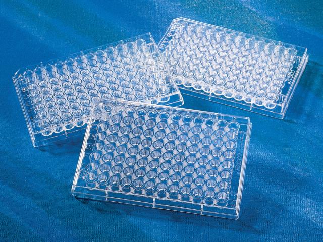 Corning 96 Well Clear Flat Bottom Cell