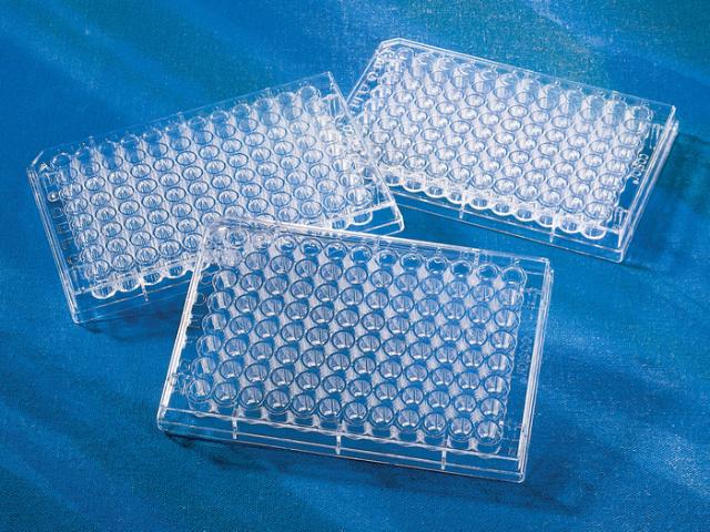 Corning 96 Well Clear Round Bottom Poly