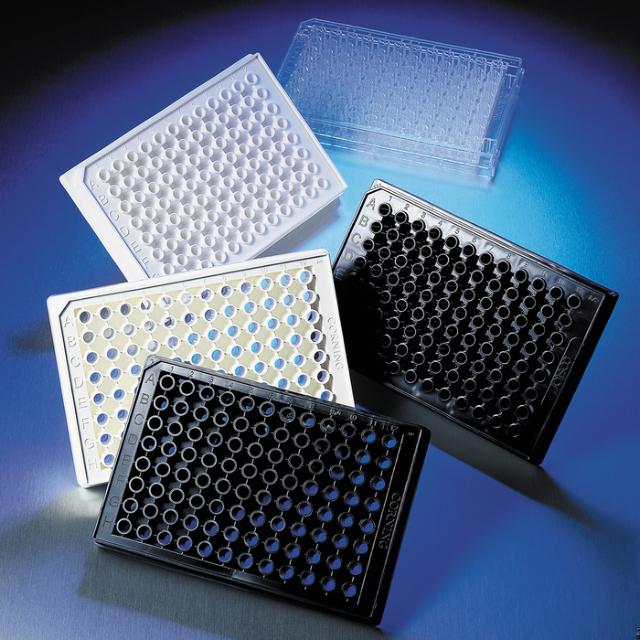 Corning 96 Well White Flat Bottom Polys