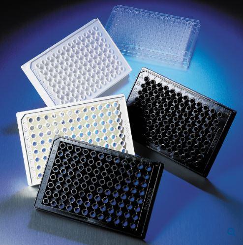 Corning 96 Well Black Flat Bottom Polys