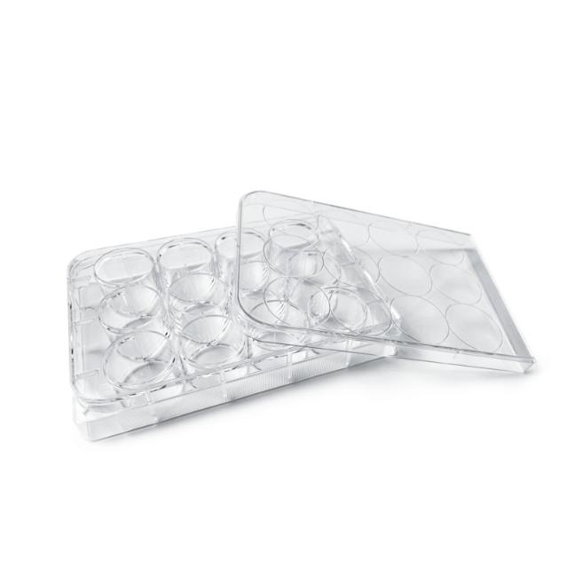 IVT LabFlow 12-well Cell Culture Plate, Flat, TC treated, St