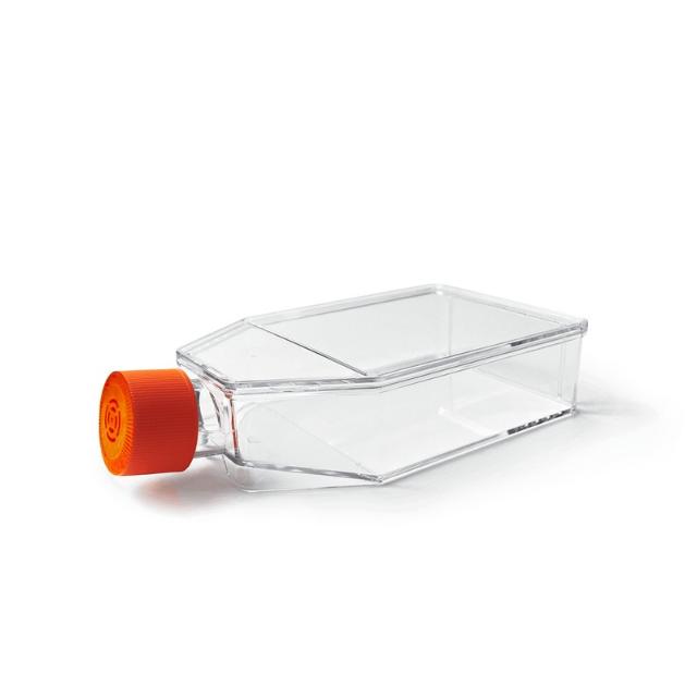IVT LabFlow 75cm² Cell Culture Flask with Filter Vent Cap, T