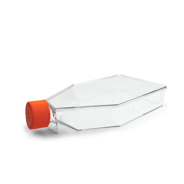 IVT LabFlow 175cm² Cell Culture Flask with Filter Vent Cap,