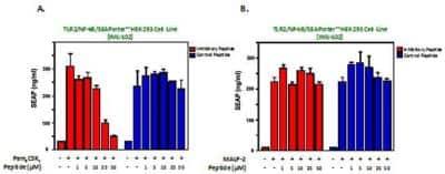 Novus TIRAP (TLR2 and TLR4) Inhibitor Pe