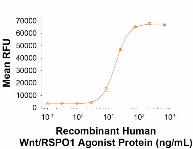 R&D Systems Recombinant Human Wnt/RSPO1 Agonist Protein CF 1