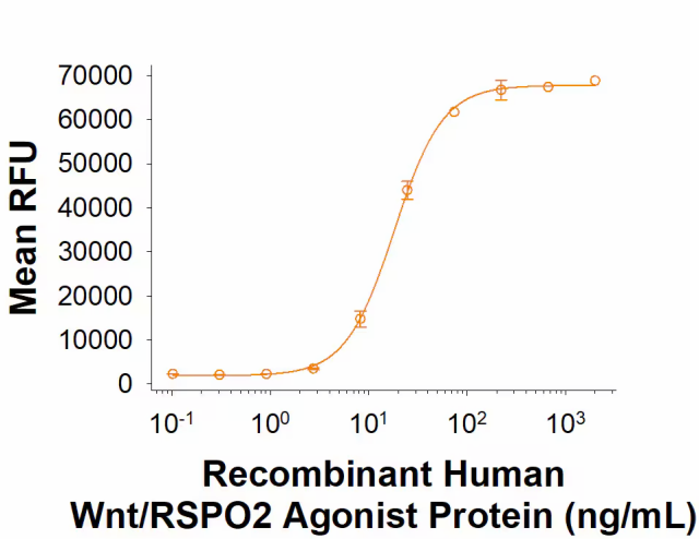 R&D Systems Recombinant Human Wnt/RSPO2 Agonist Protein CF 5