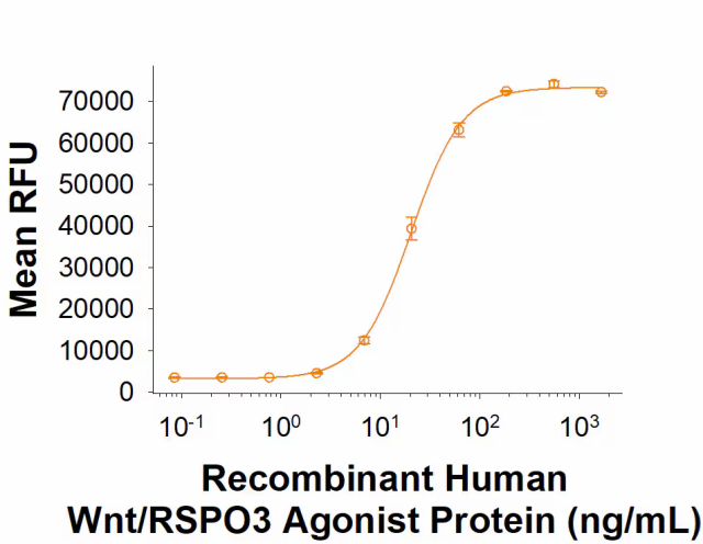 R&D Systems Recombinant Human Wnt/RSPO3 Agonist Protein, CF,