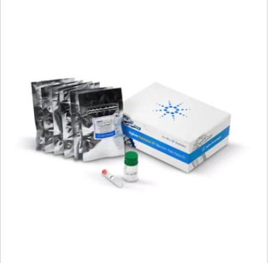 Seahorse XFp Glycoysis Stress Test, Per