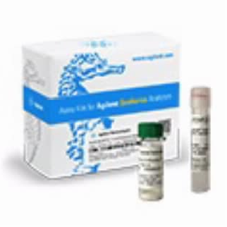 Seahorse  XF Hu T Cell Activation Assay Kit