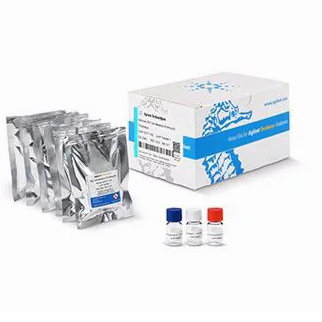 Seahorse  XFp T Cell Metabolic Profiling Kit