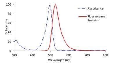Novus Lightning-Link Rapid Alexa Fluor 4