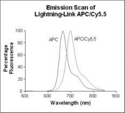 Novus Lightning-Link APC-Cy5.5 Antibody