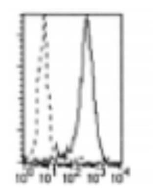 Novus DCIR/CLEC4A Antibody (111F8.04), 0