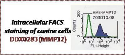 Novus MMP-12 Antibody (703D10), 0.1 mg