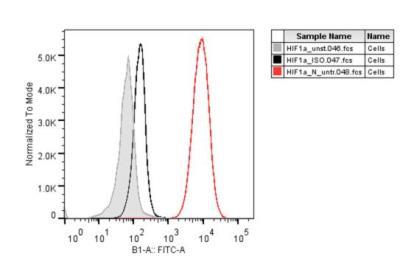 Novus HIF-1 alpha Antibody (H1alpha67) [