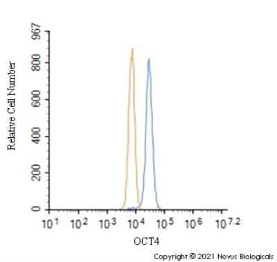 Novus OCT4 Antibody, 0.1 ml