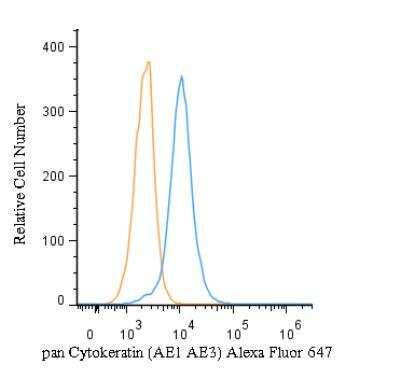 Novus pan Cytokeratin Antibody (AE1 + AE