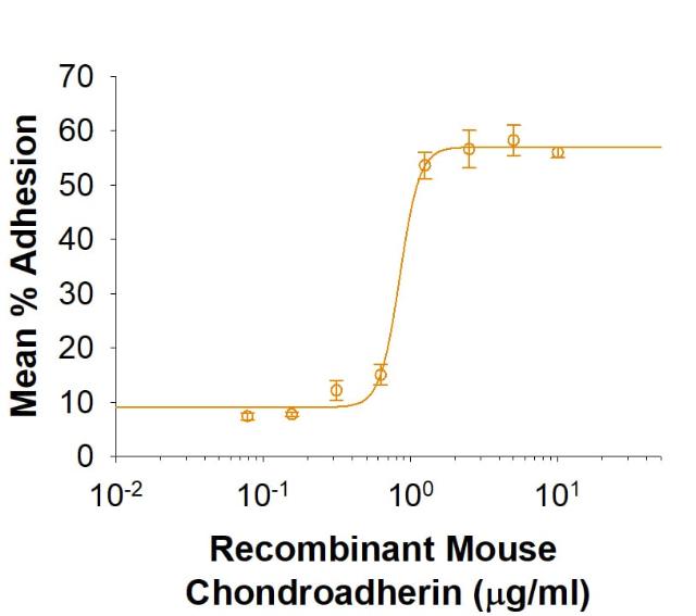 R&D Systems Recombinant Mouse Chondroadherin His-tag Protei