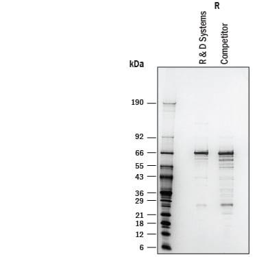 R&D Systems Recombinant Human Glutaminase His-tag Protein C