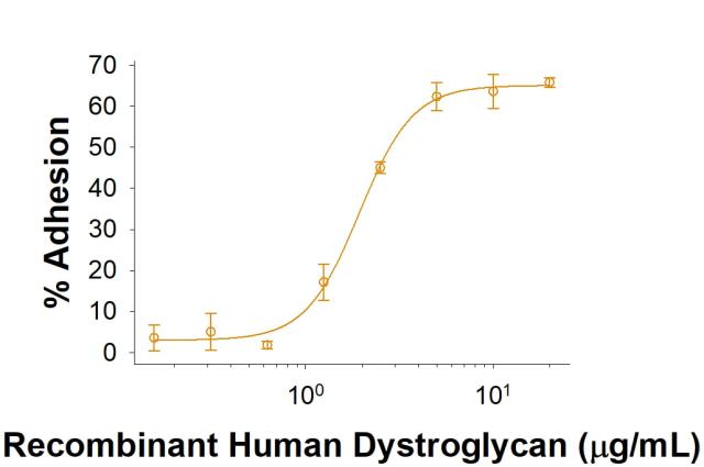 R&D Systems rhDystroglycan Fc C (50 UG)