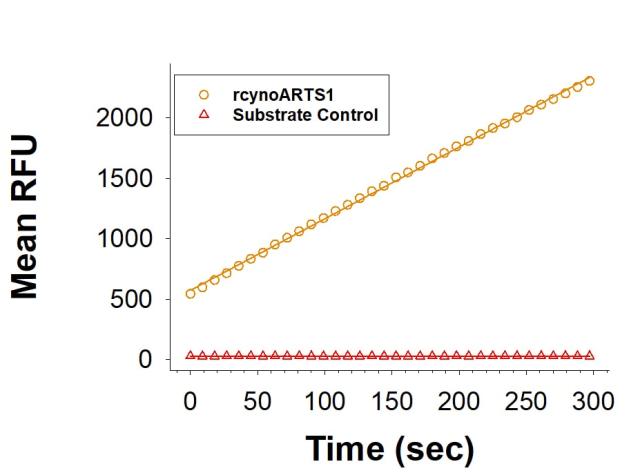 R&D Systems rcynoAminopeptidase (50 UG)